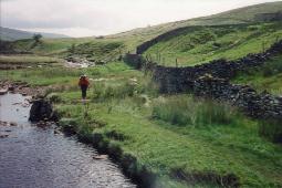 Langstrothdale