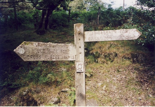 Dartmoor bridleway