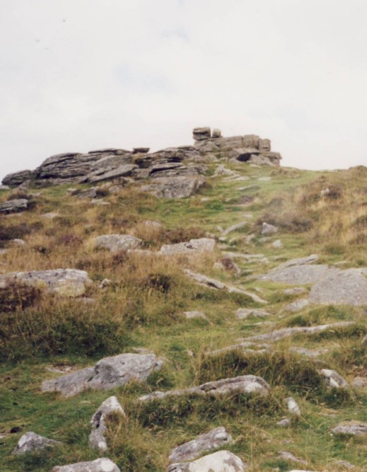 Dartmoor Torr