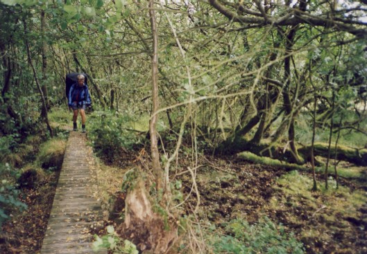 Knowstone Outer Moor