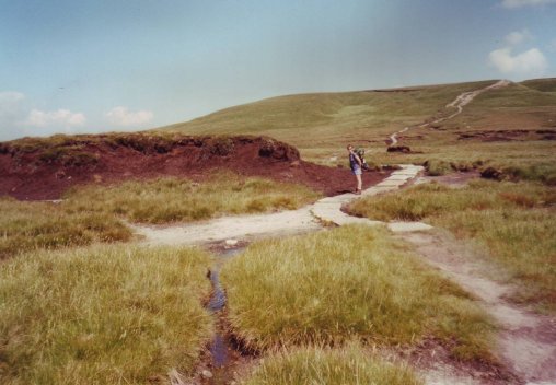 Great Shunner fell