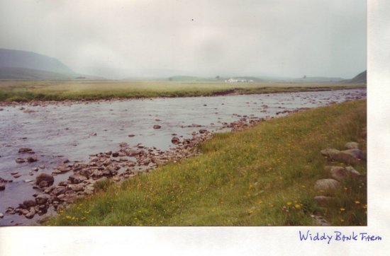 Widdy Bank