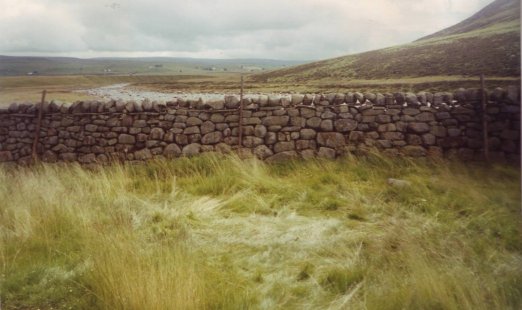 Widdy Bank Farm