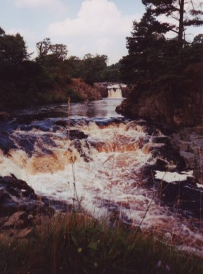 Low Force