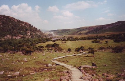 Bracken Rigg