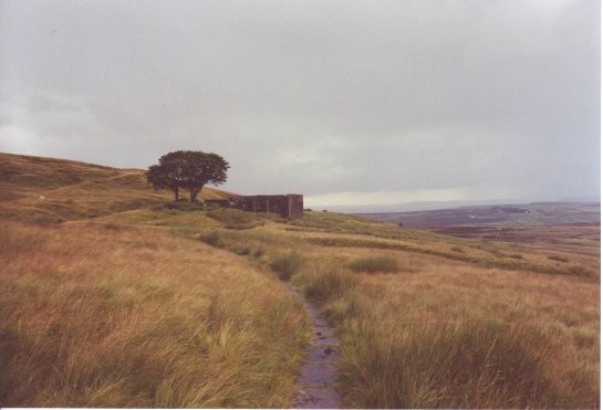 Wuthering Heights