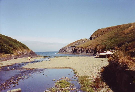 Ceibwr