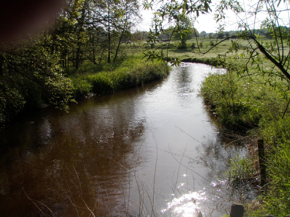 Pieterpad beek