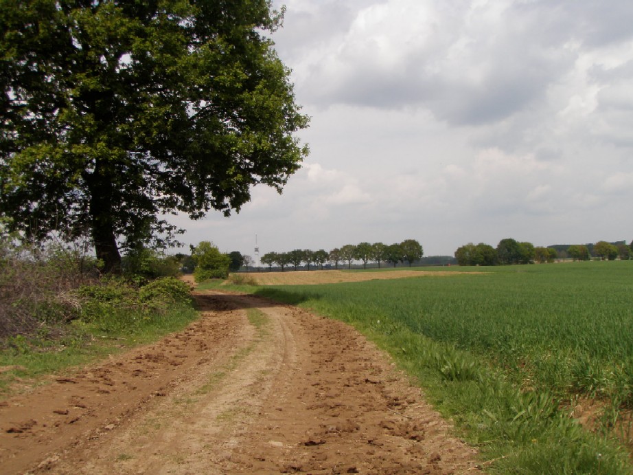 op weg naar Roermond