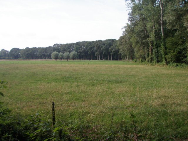 Coulissen landschap