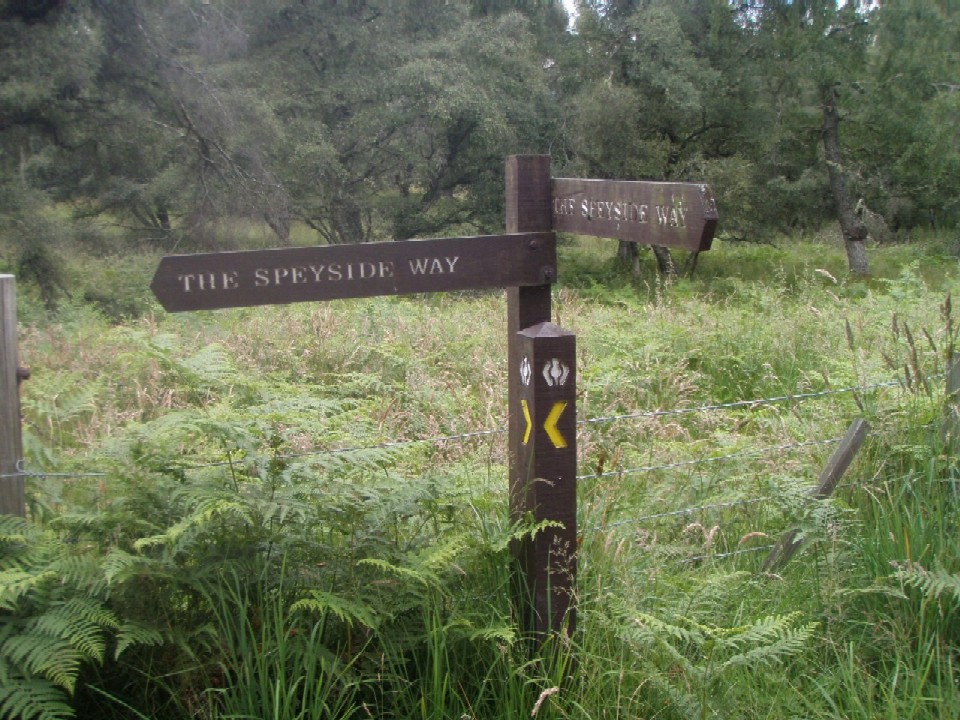 speyside way